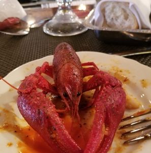 Meet your Posher, Rodney